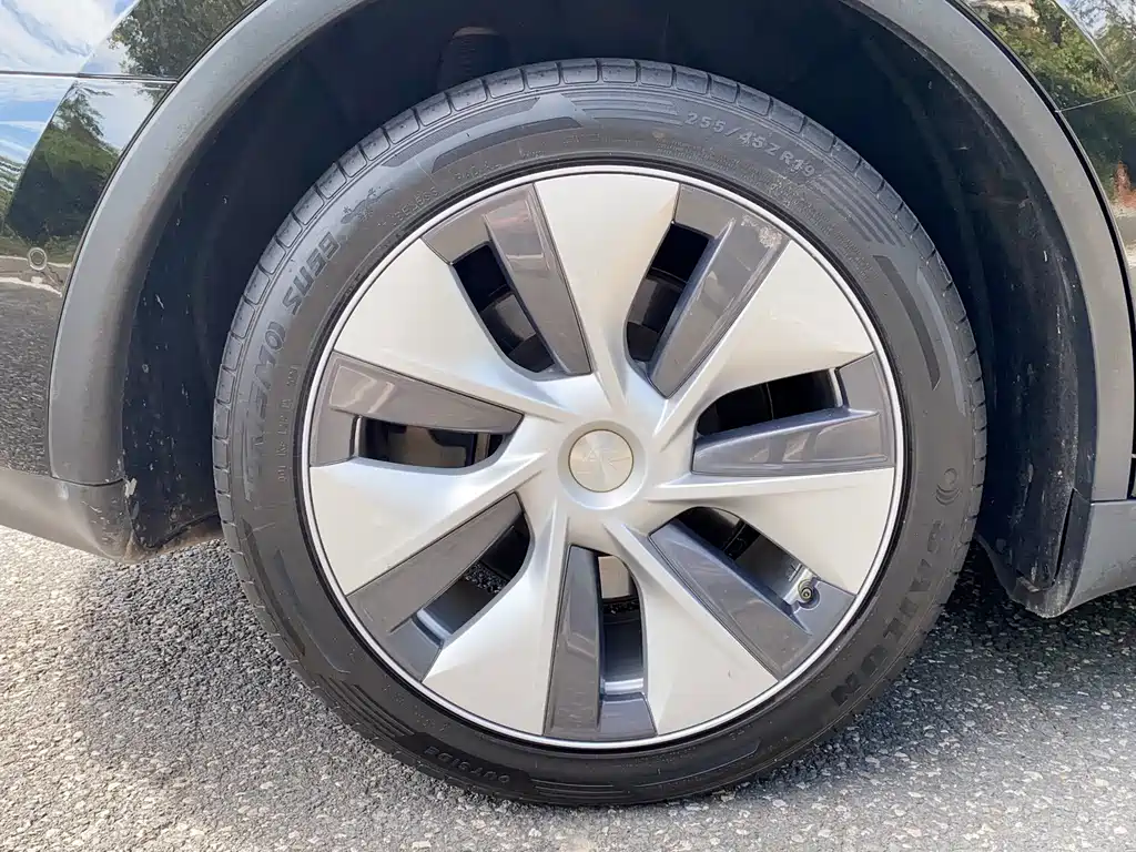 Tesla Model Y — фото 19