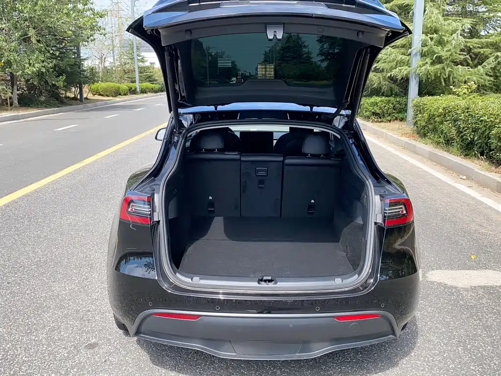 Tesla Model Y — фото 20