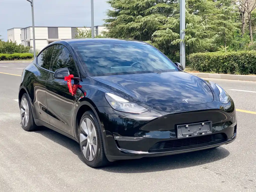 Tesla Model Y — фото 3