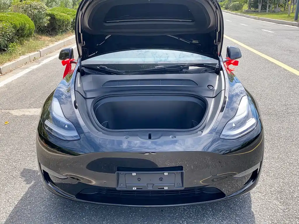 Tesla Model Y — фото 24