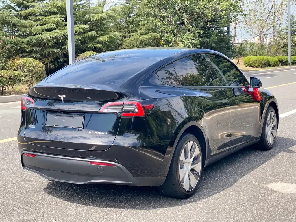 Tesla Model Y — фото 5