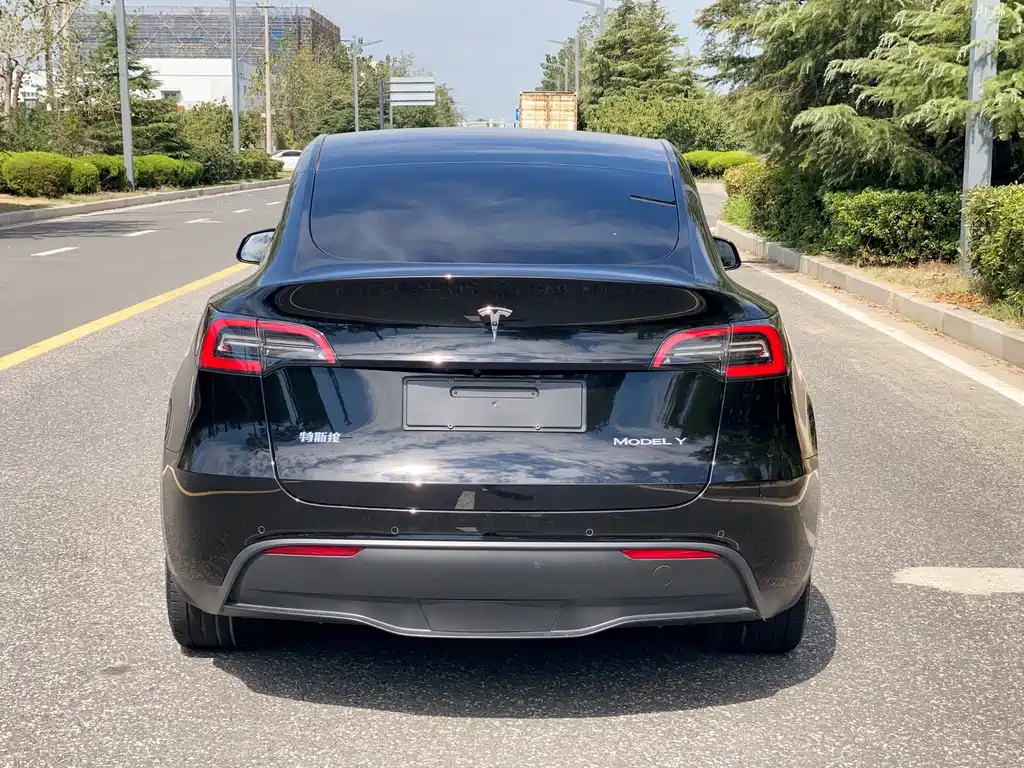 Tesla Model Y — фото 6