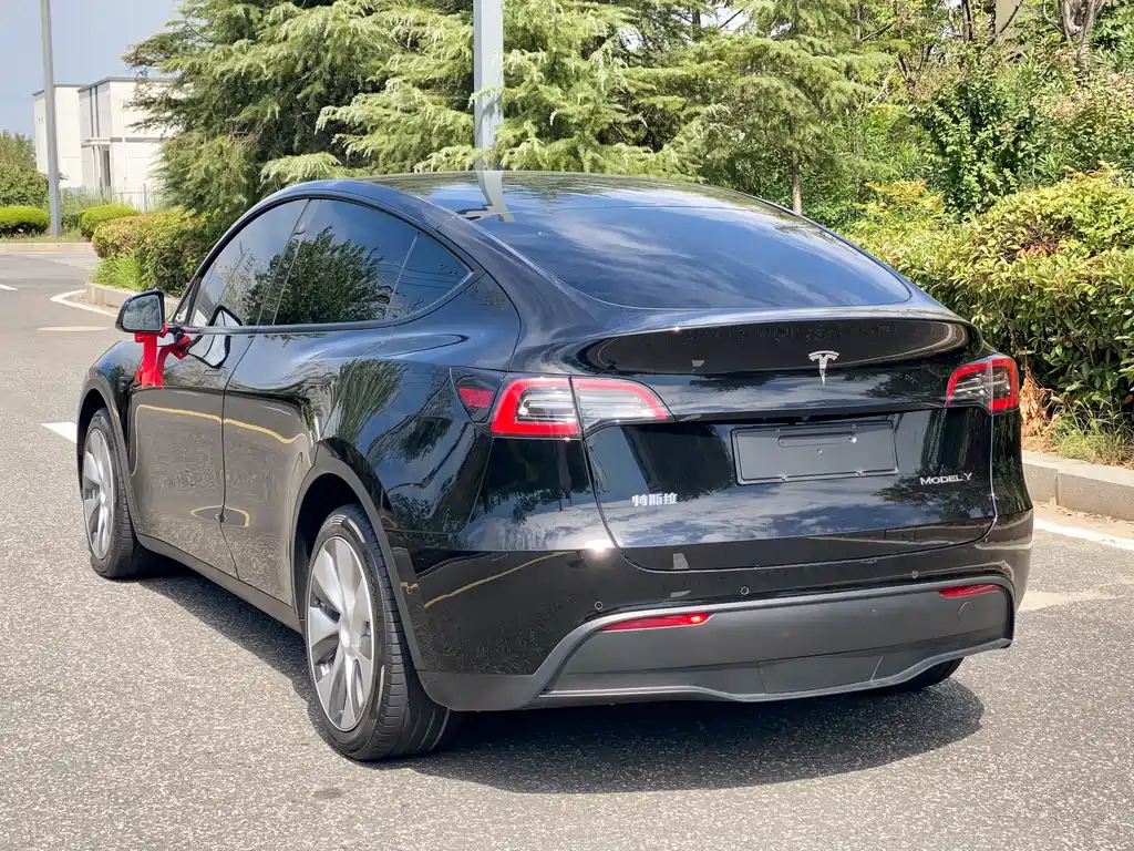 Tesla Model Y — фото 7