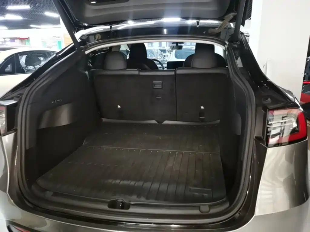 Tesla Model Y — фото 19