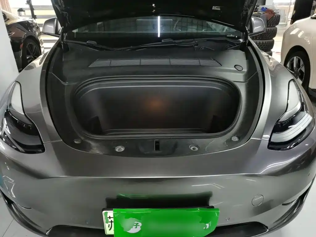 Tesla Model Y — фото 20