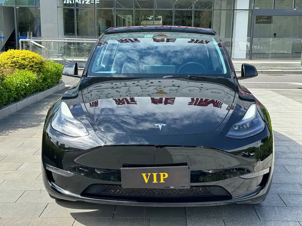 Tesla Model Y — фото 2