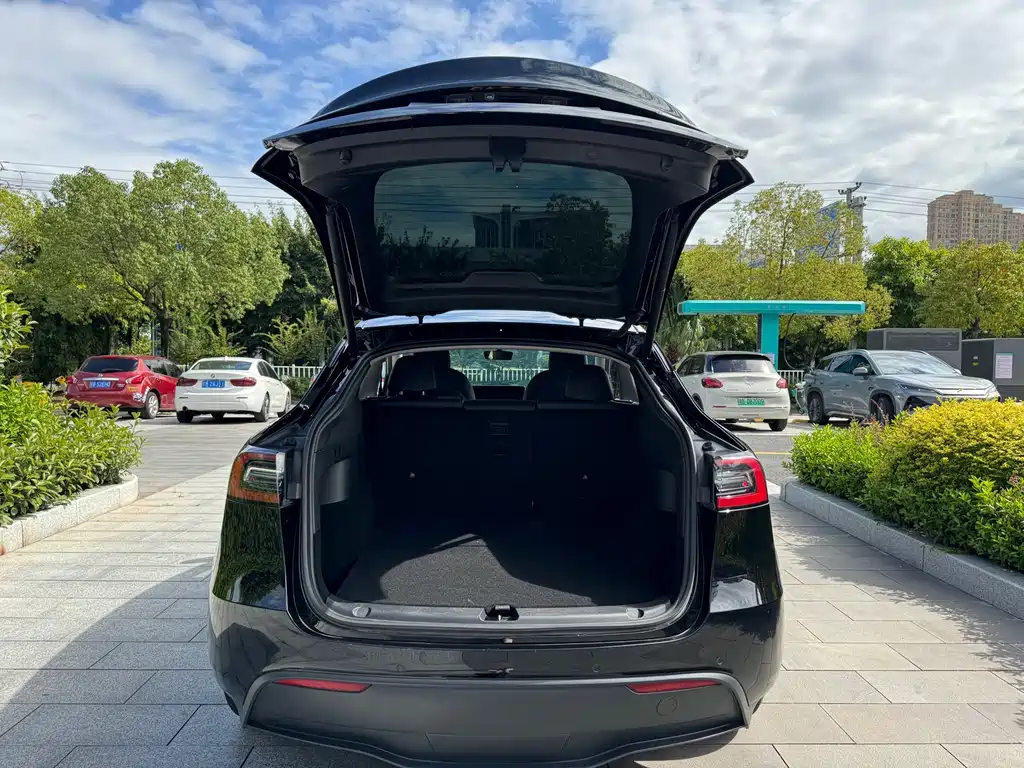 Tesla Model Y — фото 11