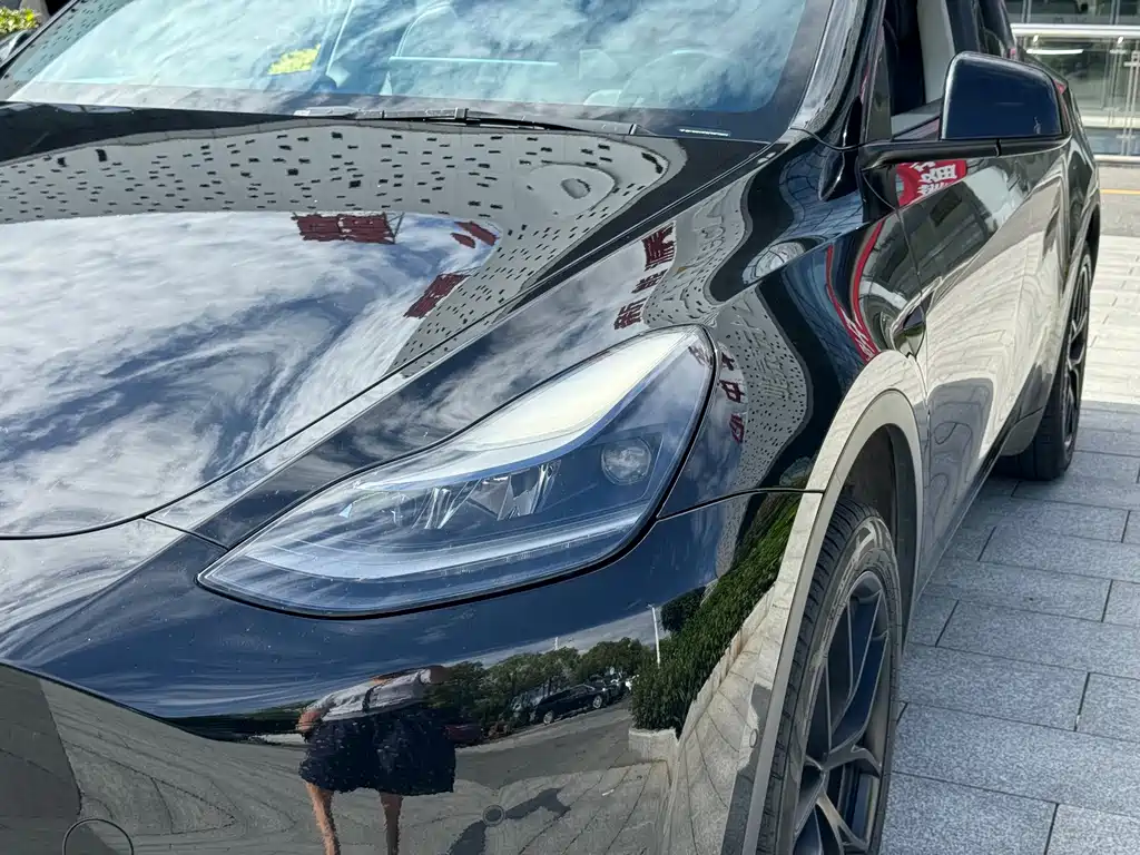Tesla Model Y — фото 14