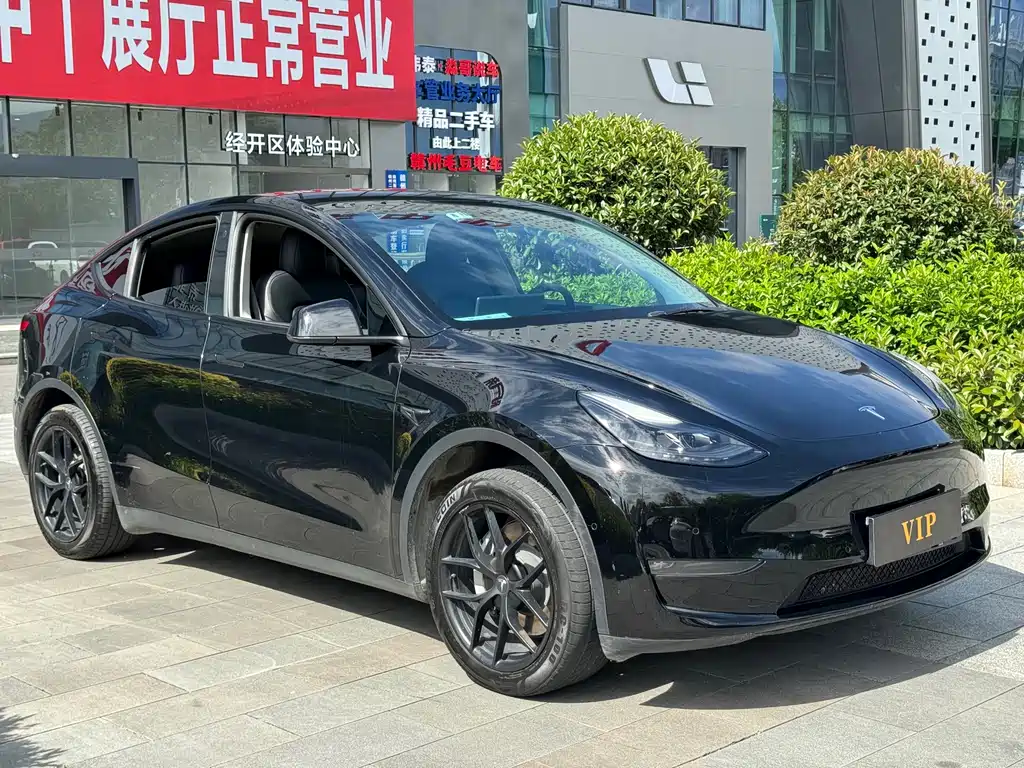 Tesla Model Y — фото 3