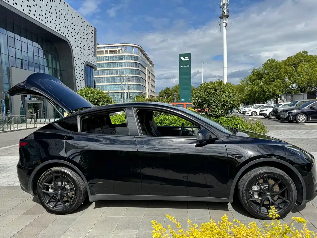Tesla Model Y — фото 10