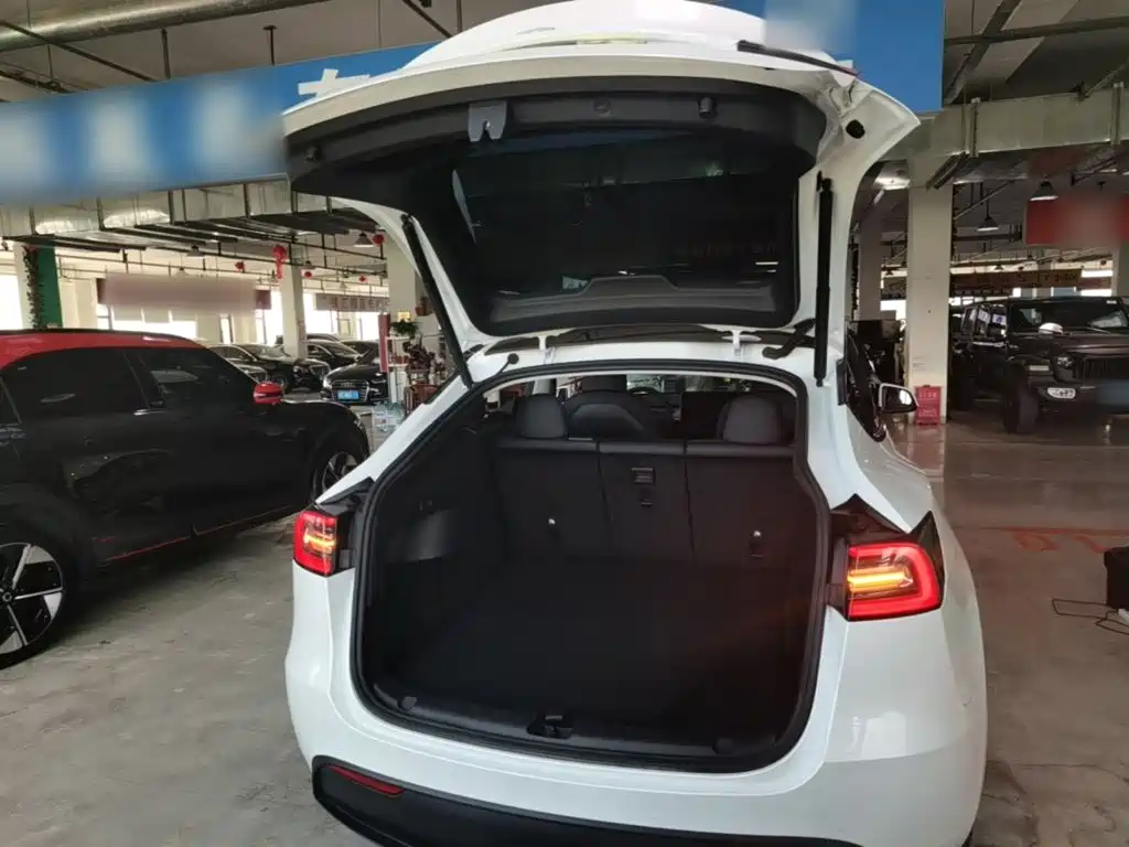 Tesla Model Y — фото 19