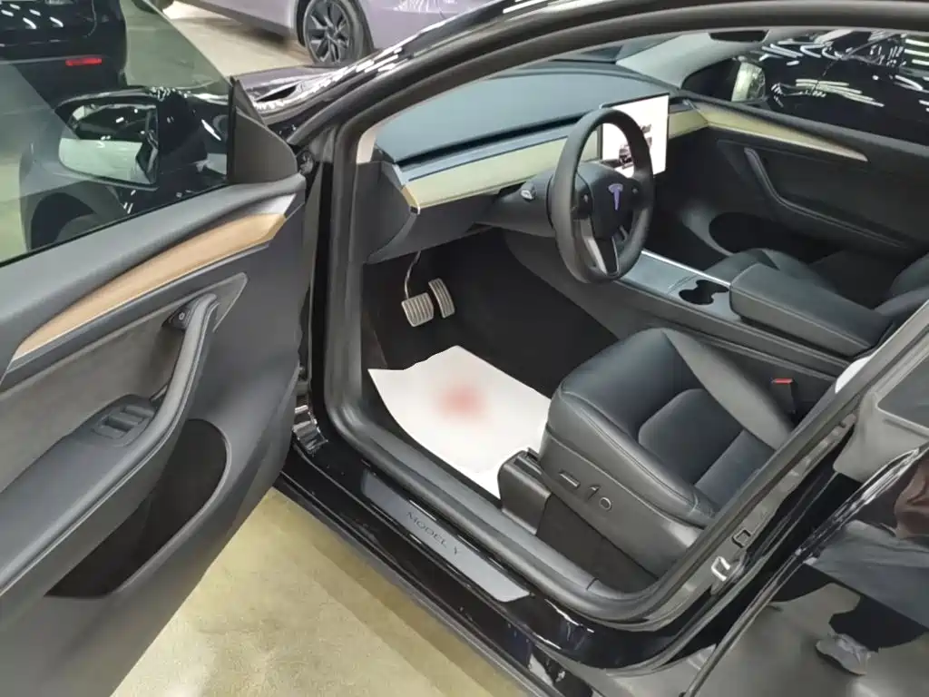 Tesla Model Y — фото 16