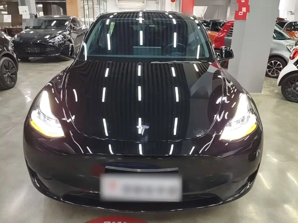 Tesla Model Y — фото 3