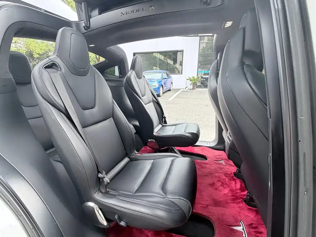 Tesla Model X — фото 6