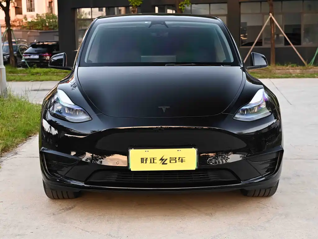 Tesla Model Y — фото 2