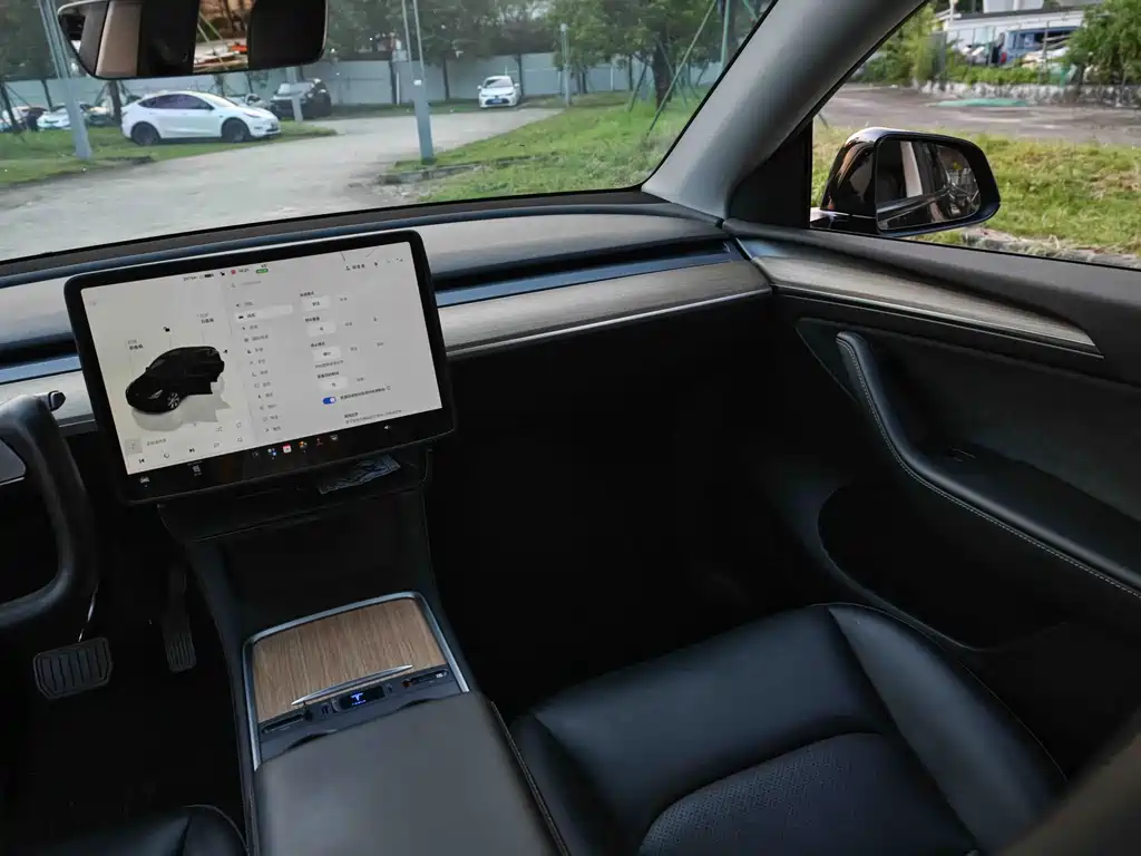 Tesla Model Y — фото 14