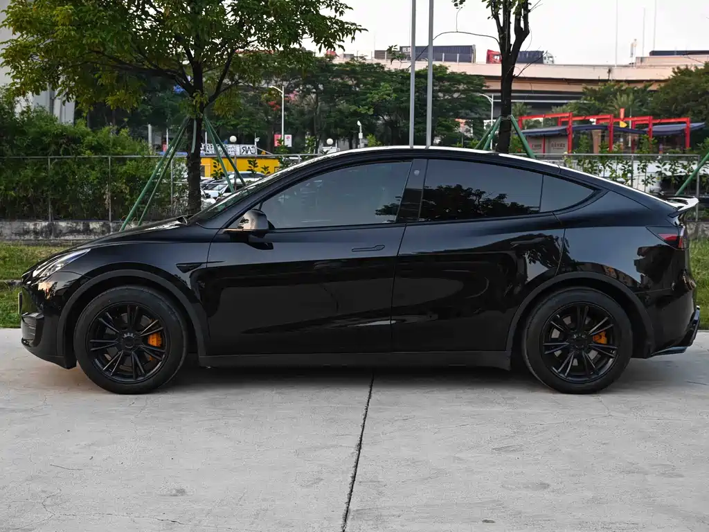 Tesla Model Y — фото 3