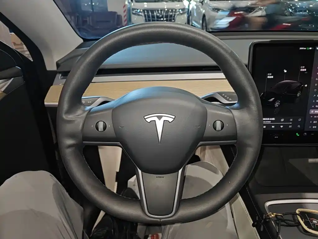 Tesla Model Y — фото 11