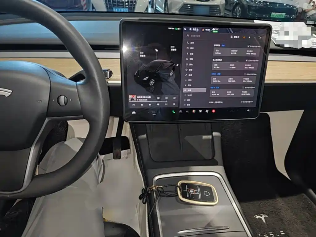 Tesla Model Y — фото 10