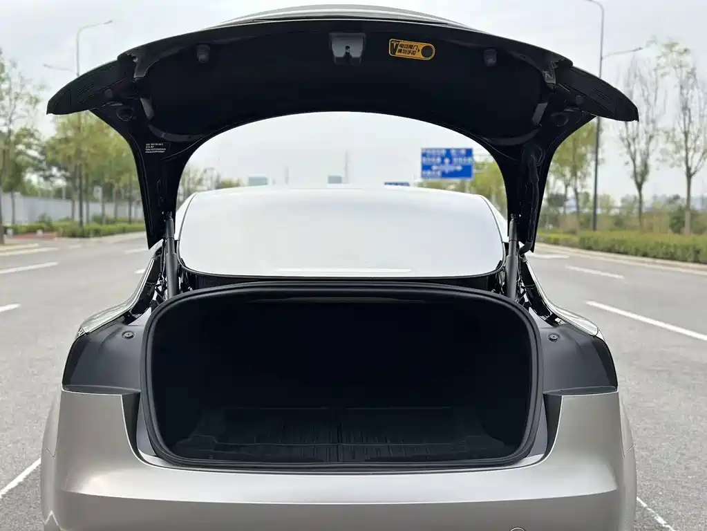Tesla Model 3 — фото 18