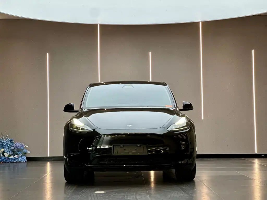 Tesla Model Y — фото 2