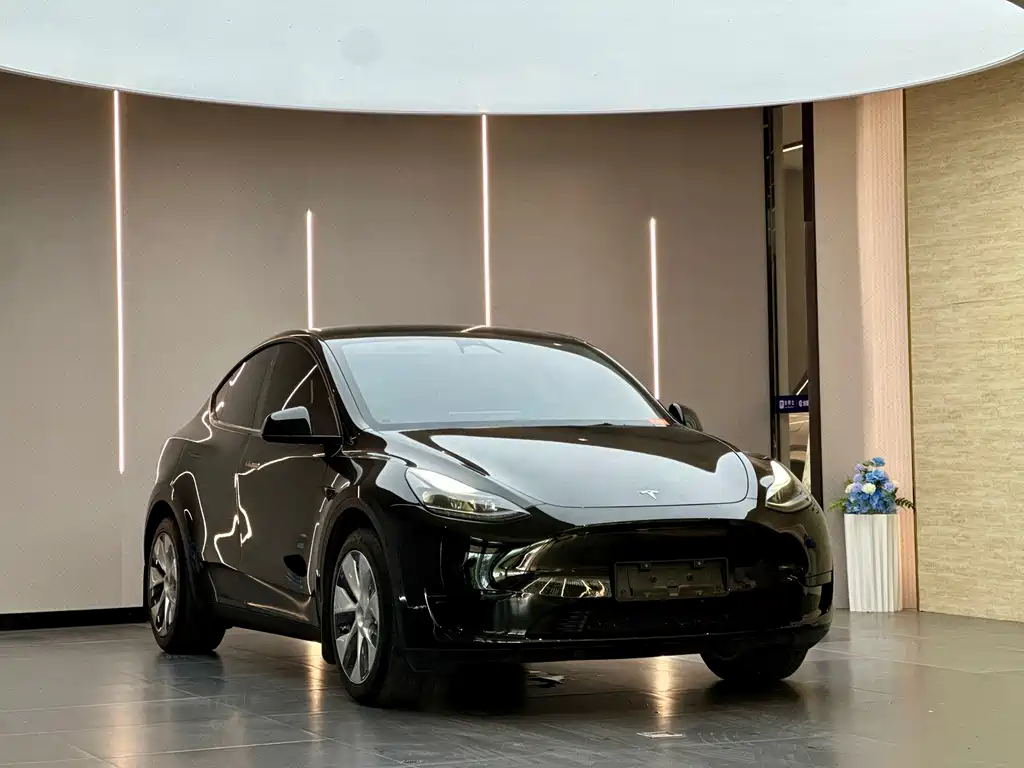 Tesla Model Y — фото 3