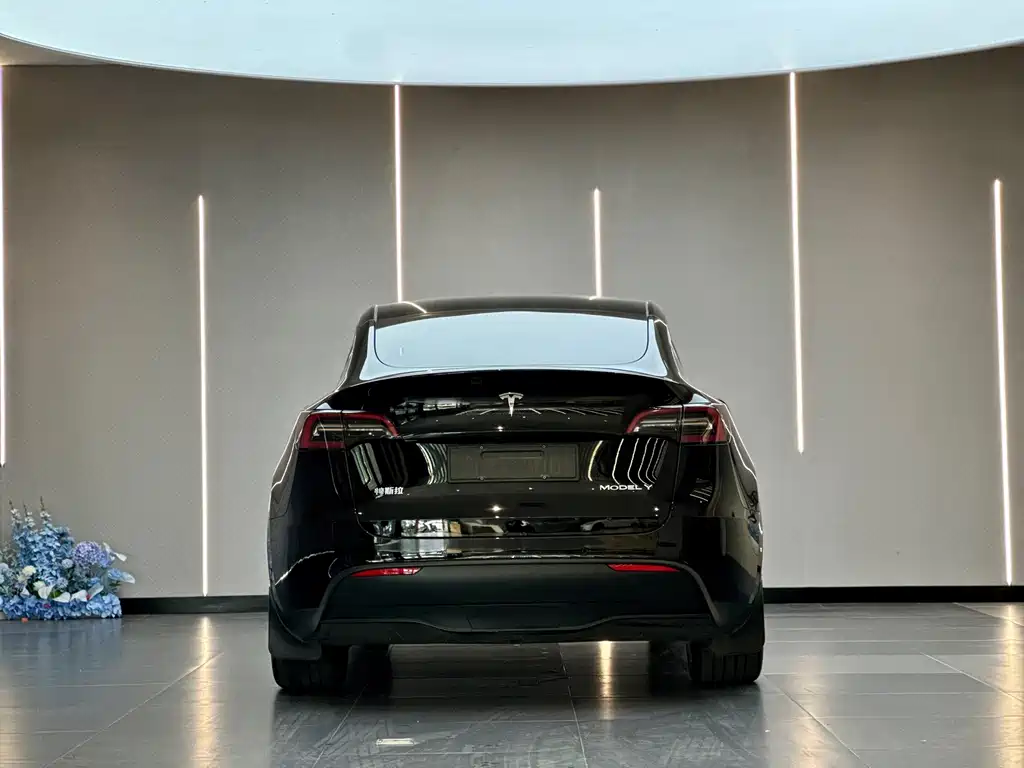Tesla Model Y — фото 9