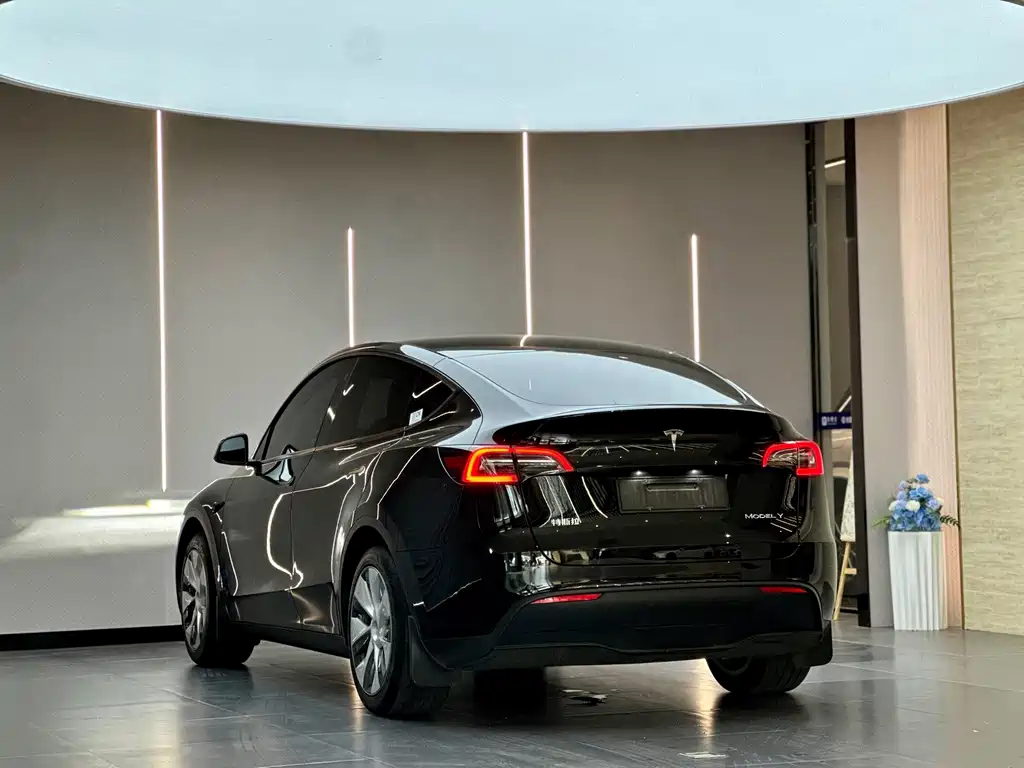 Tesla Model Y — фото 10