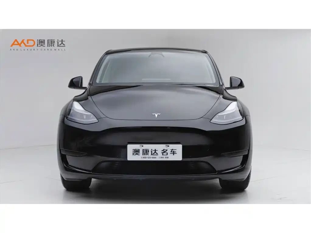 Tesla Model Y — фото 2