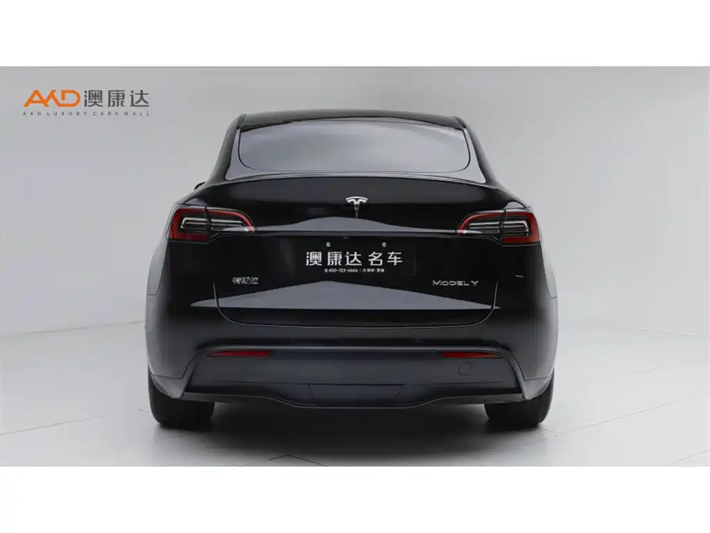 Tesla Model Y — фото 4