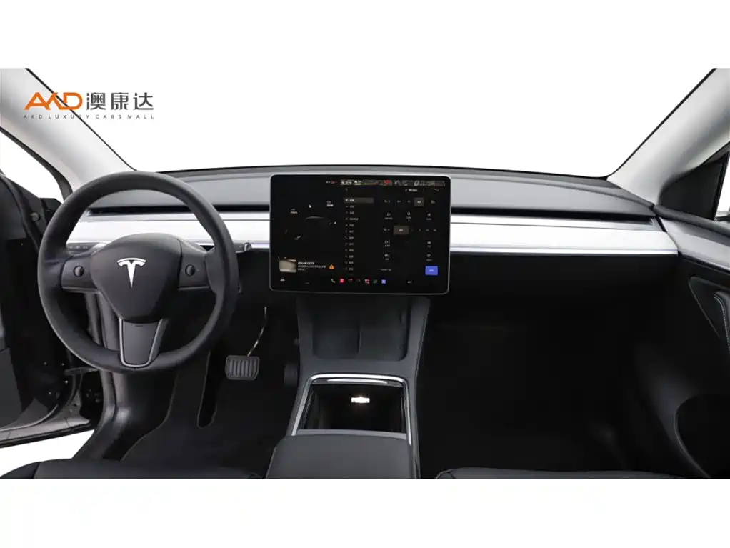 Tesla Model Y — фото 5