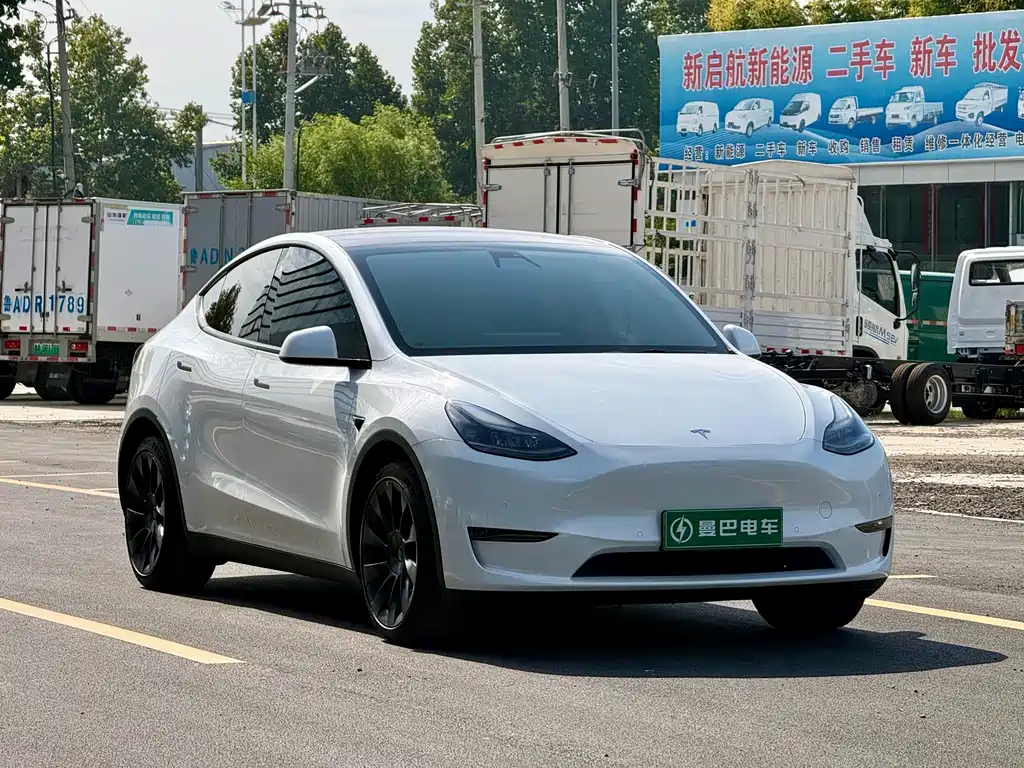 Tesla Model Y — фото 2