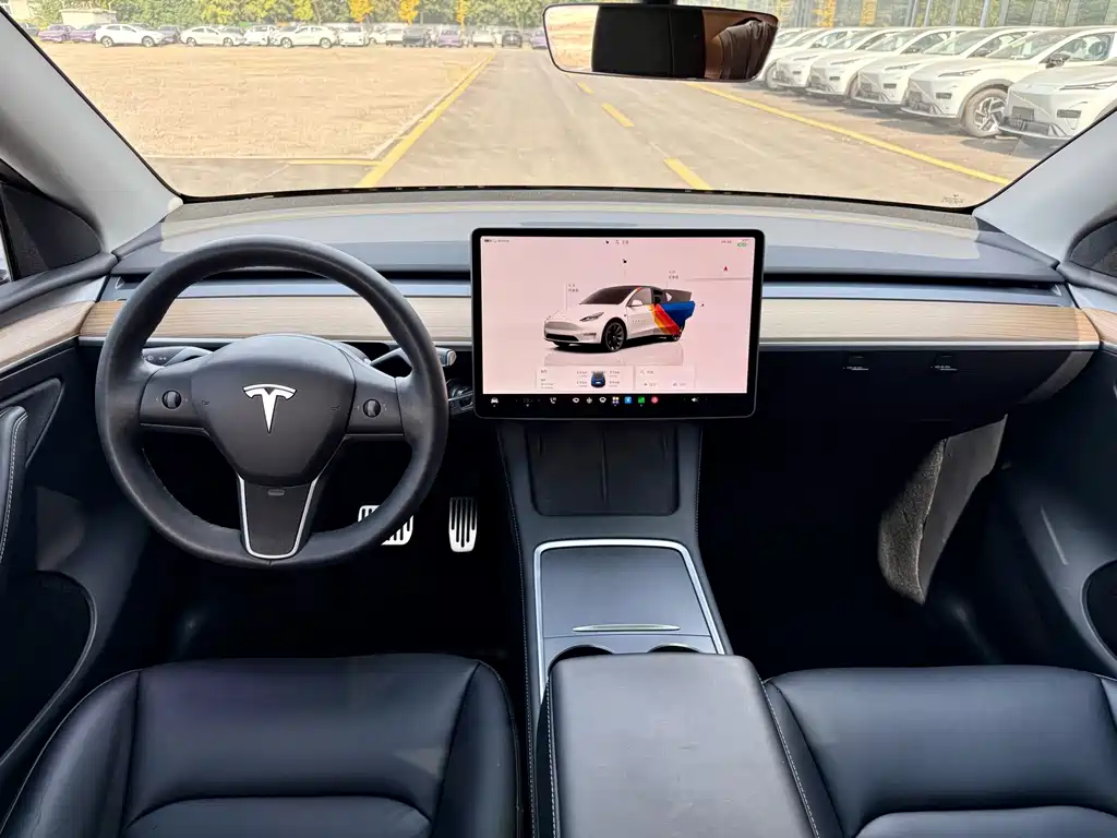 Tesla Model Y — фото 11