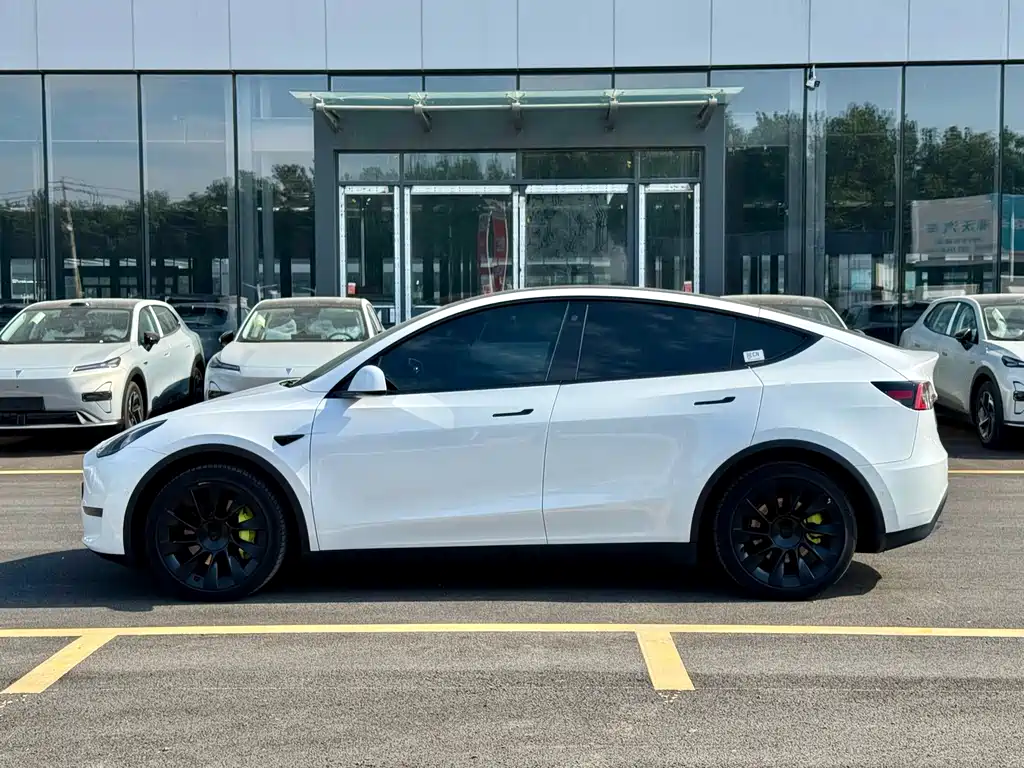 Tesla Model Y — фото 3