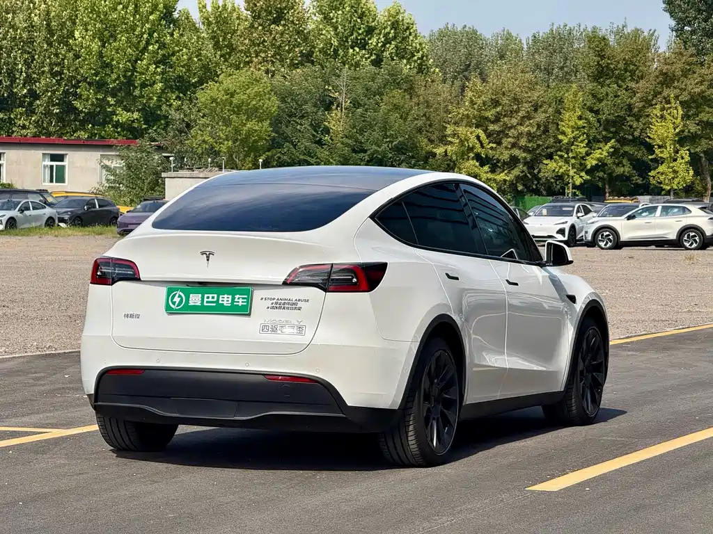 Tesla Model Y — фото 5