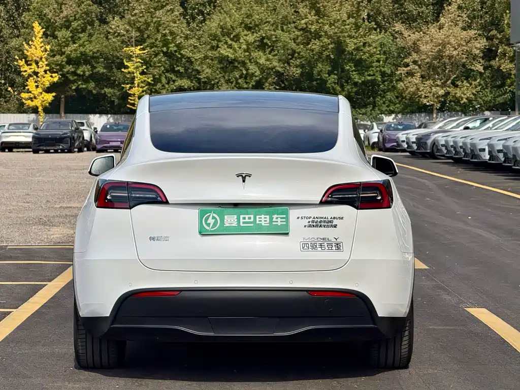 Tesla Model Y — фото 6