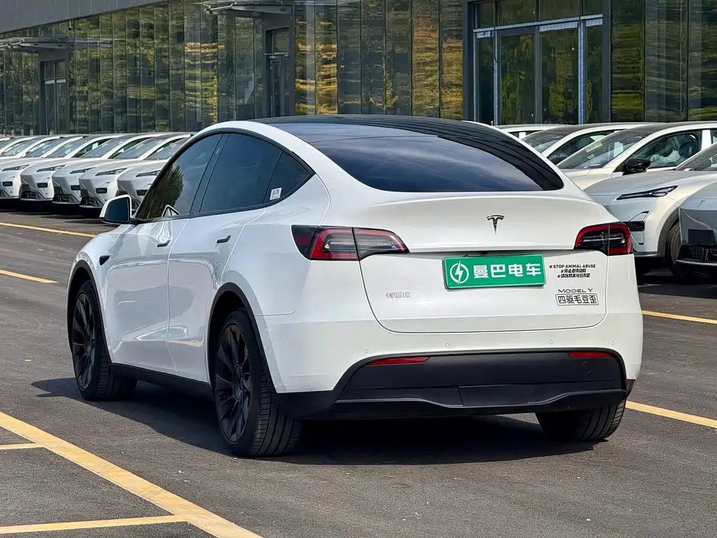 Tesla Model Y — фото 7