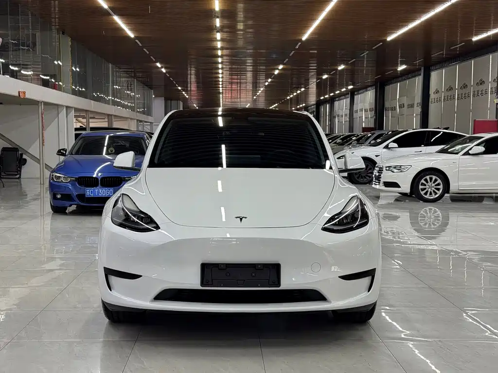 Tesla Model Y — фото 2