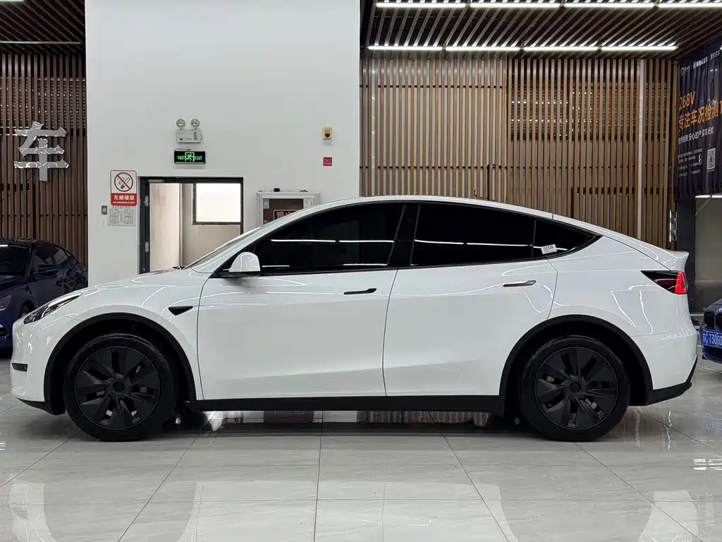 Tesla Model Y — фото 3