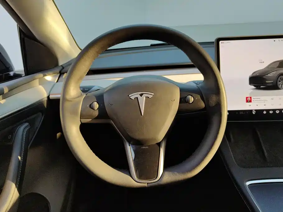 Tesla Model Y — фото 15