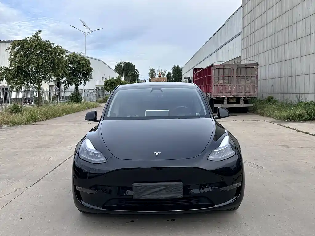 Tesla Model Y — фото 2