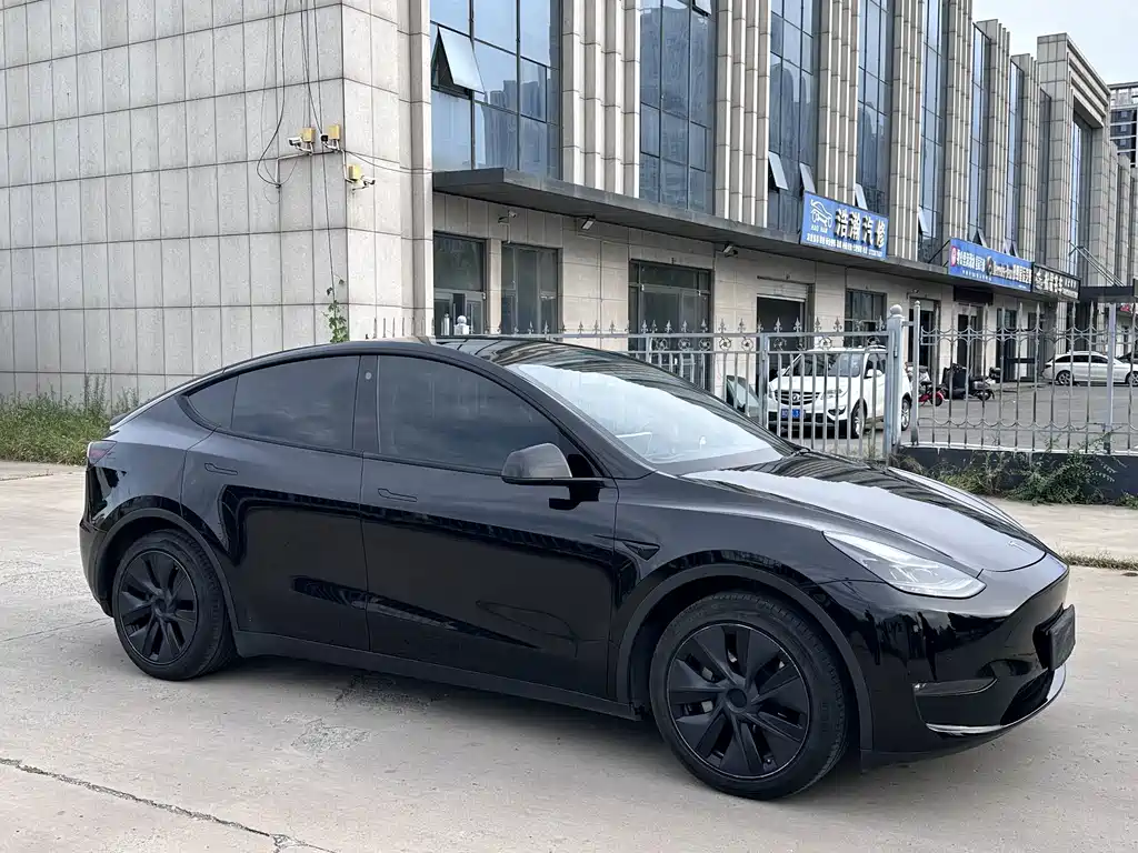 Tesla Model Y — фото 3