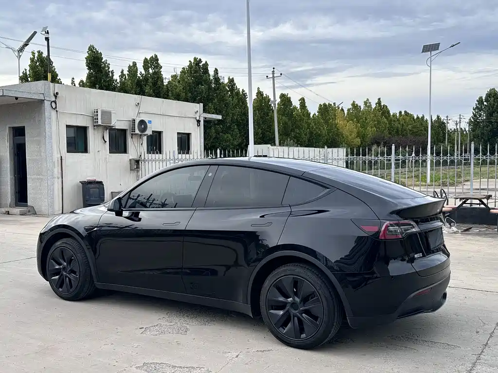 Tesla Model Y — фото 6
