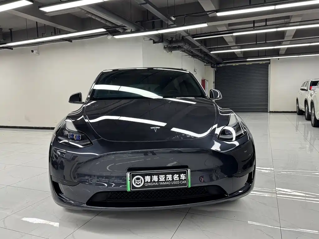 Tesla Model Y — фото 2