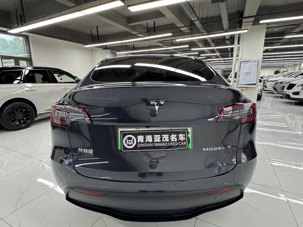 Tesla Model Y — фото 15
