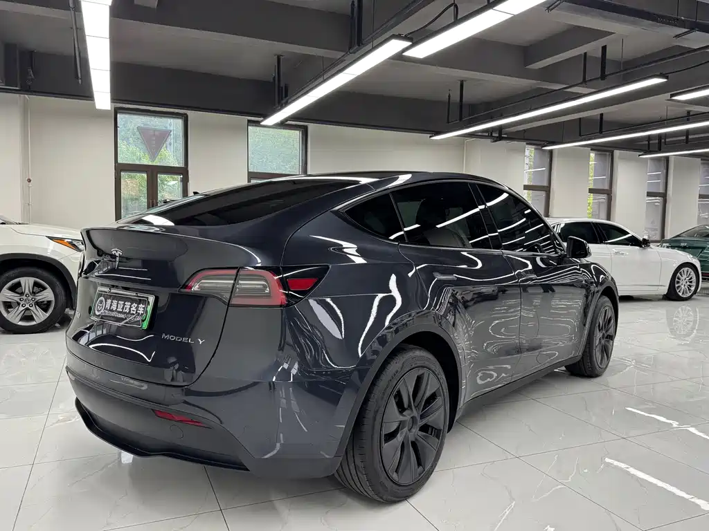 Tesla Model Y — фото 16