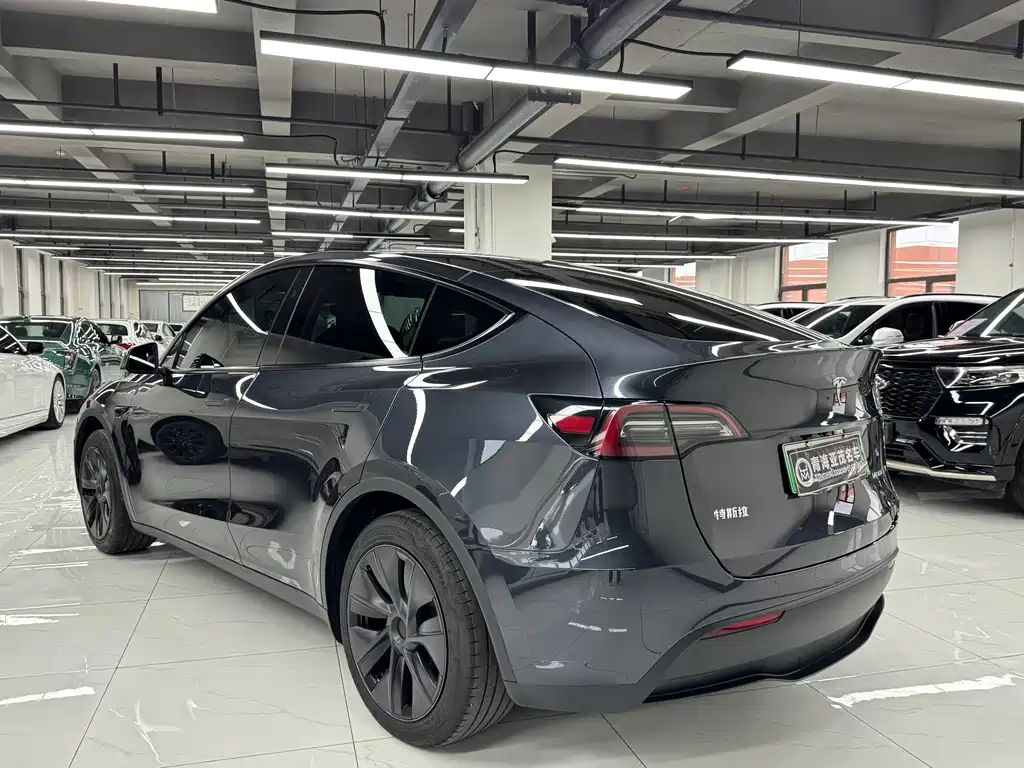Tesla Model Y — фото 17