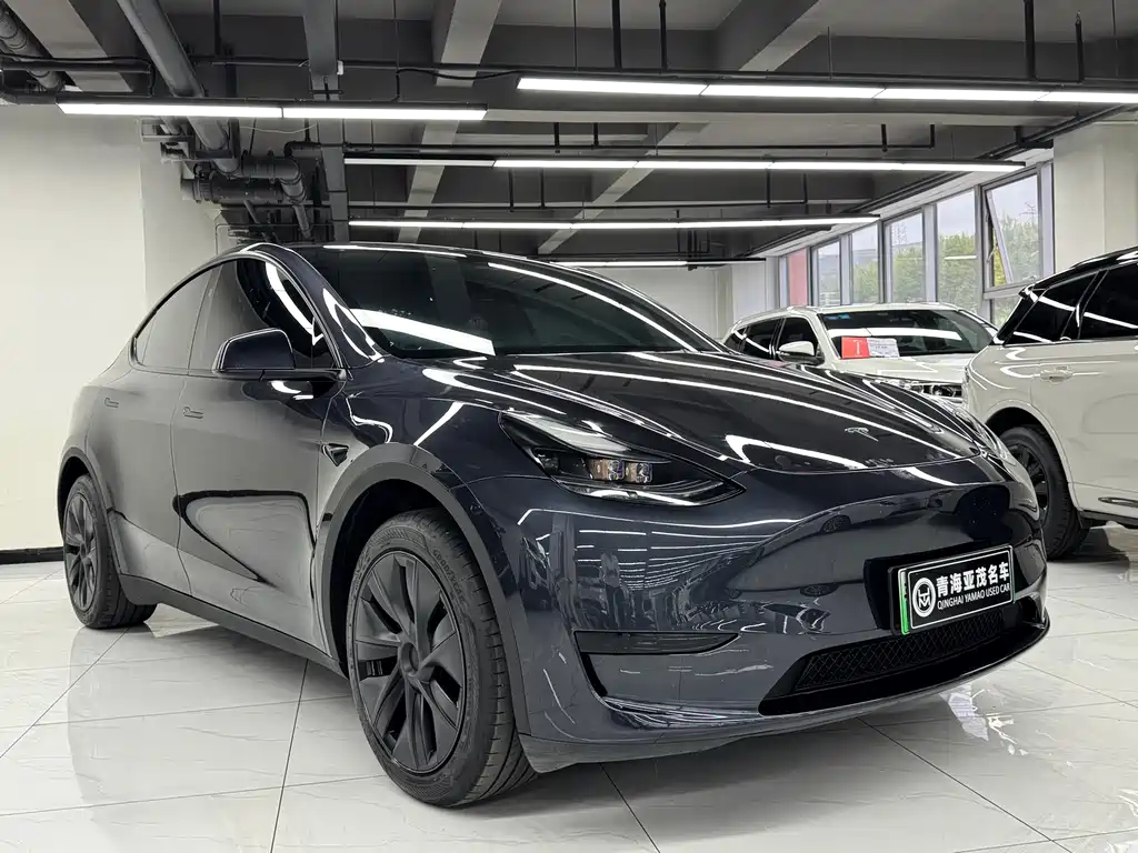 Tesla Model Y — фото 3