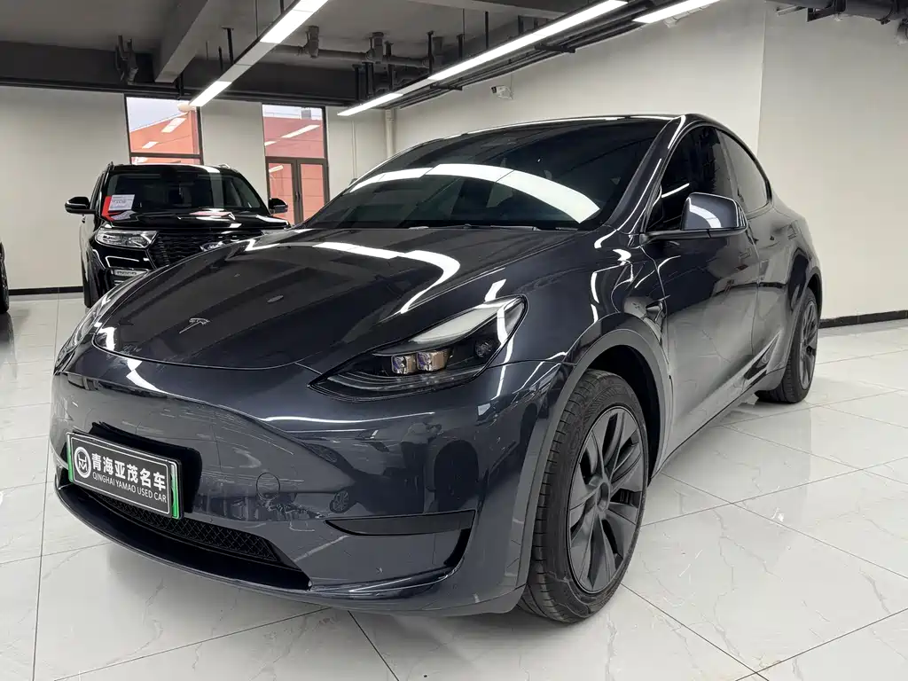 Tesla Model Y — фото 1