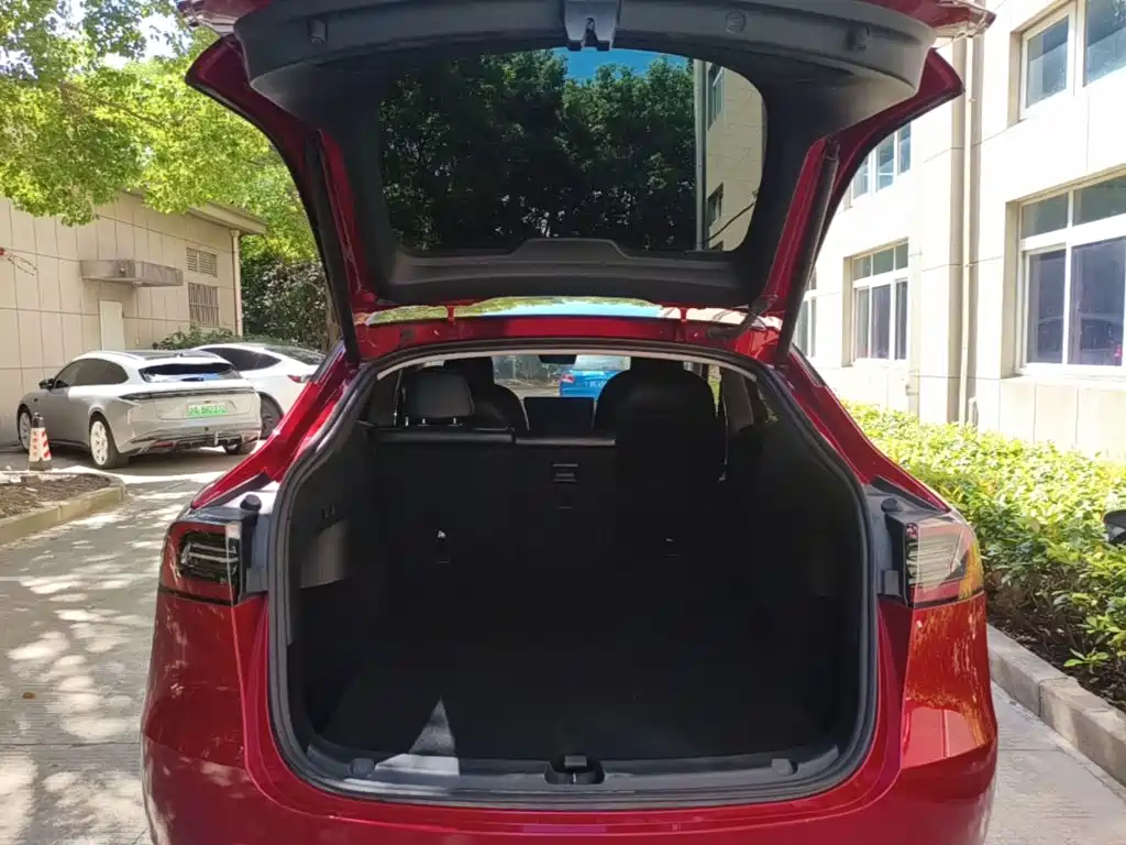 Tesla Model Y — фото 19